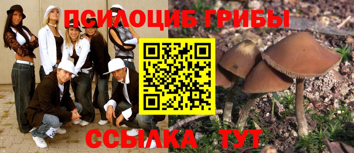 Галлюциногенные грибы Cubensis  Вход с VPN  Торжок 