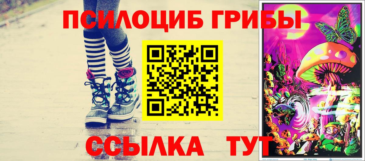 Галлюциногенные грибы Magic Shrooms  Торжок 